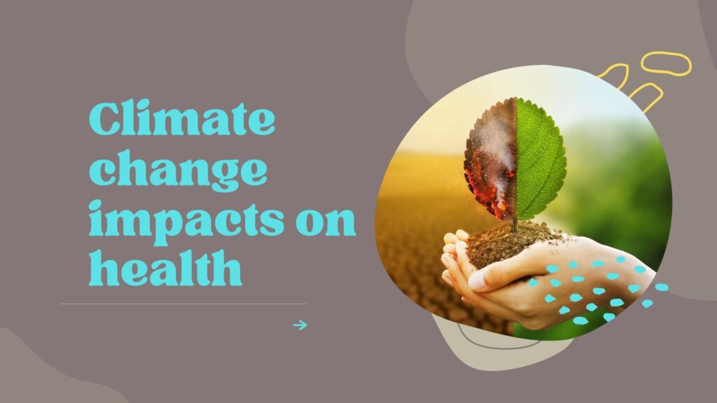 5 best Climate change impacts on health 2023