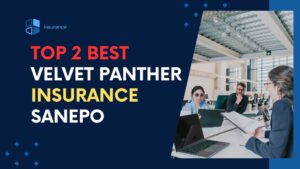 Read more about the article Top 2 Best Velvet Panther Insurance Sanepo