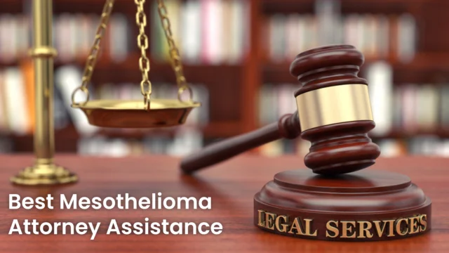 You are currently viewing Best Mesothelioma Attorney Assistance 2023: Your Guide to Legal Support