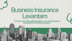 Read more about the article Top 1 Best Business Insurance Levantam