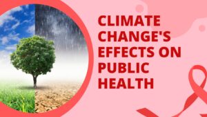 Read more about the article Climate Change’s Effects on Public Health