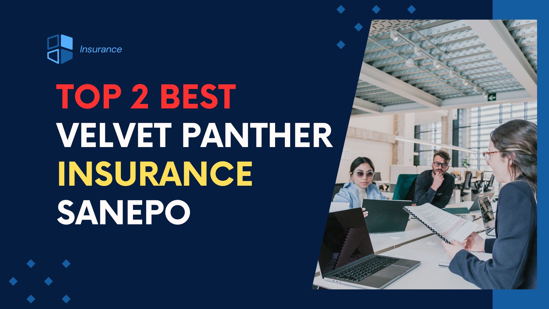 You are currently viewing Top 2 Best Velvet Panther Insurance Sanepo